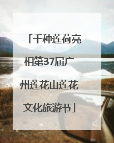 千种莲荷亮相第37届广州莲花山莲花文化旅游节
